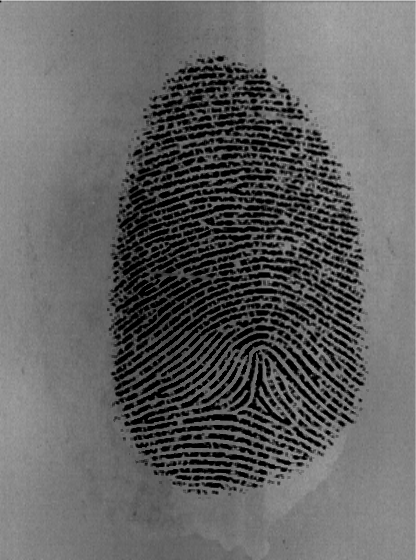 fingerprint