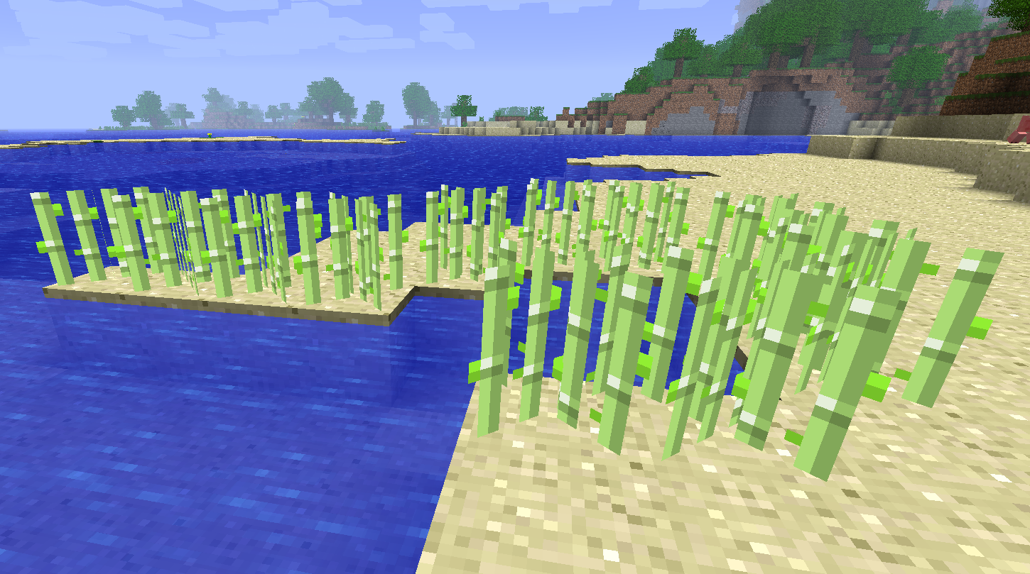 sugar cane on sand