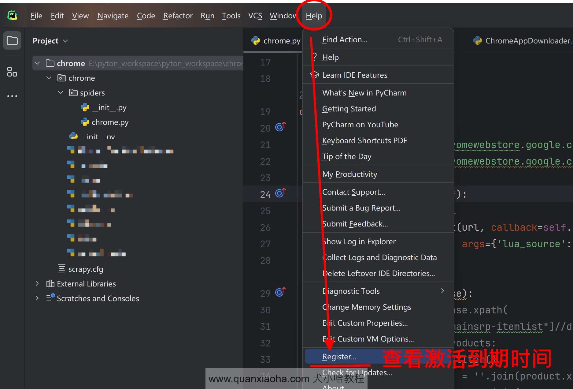 检查 Pycharm  2024.2.1 的到期时间