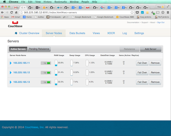 Couchbase Nodes