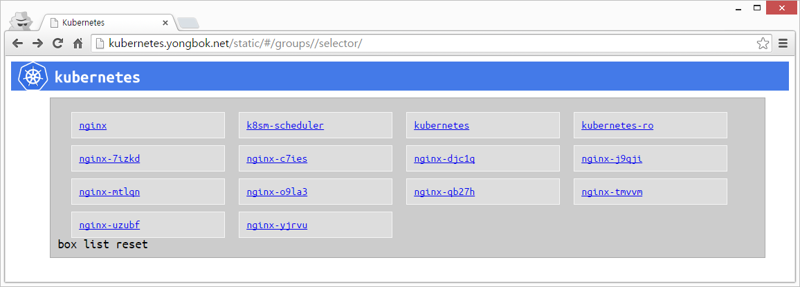 Kubernetes Web UI