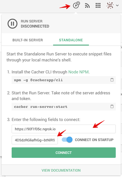 Connect to Standalone Run Server