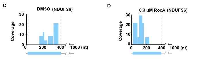 image_1gi7qclo7hjn1s8j8fqdtvdram.png-20.2kB