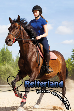 Reiterland - Meine Rennpferde