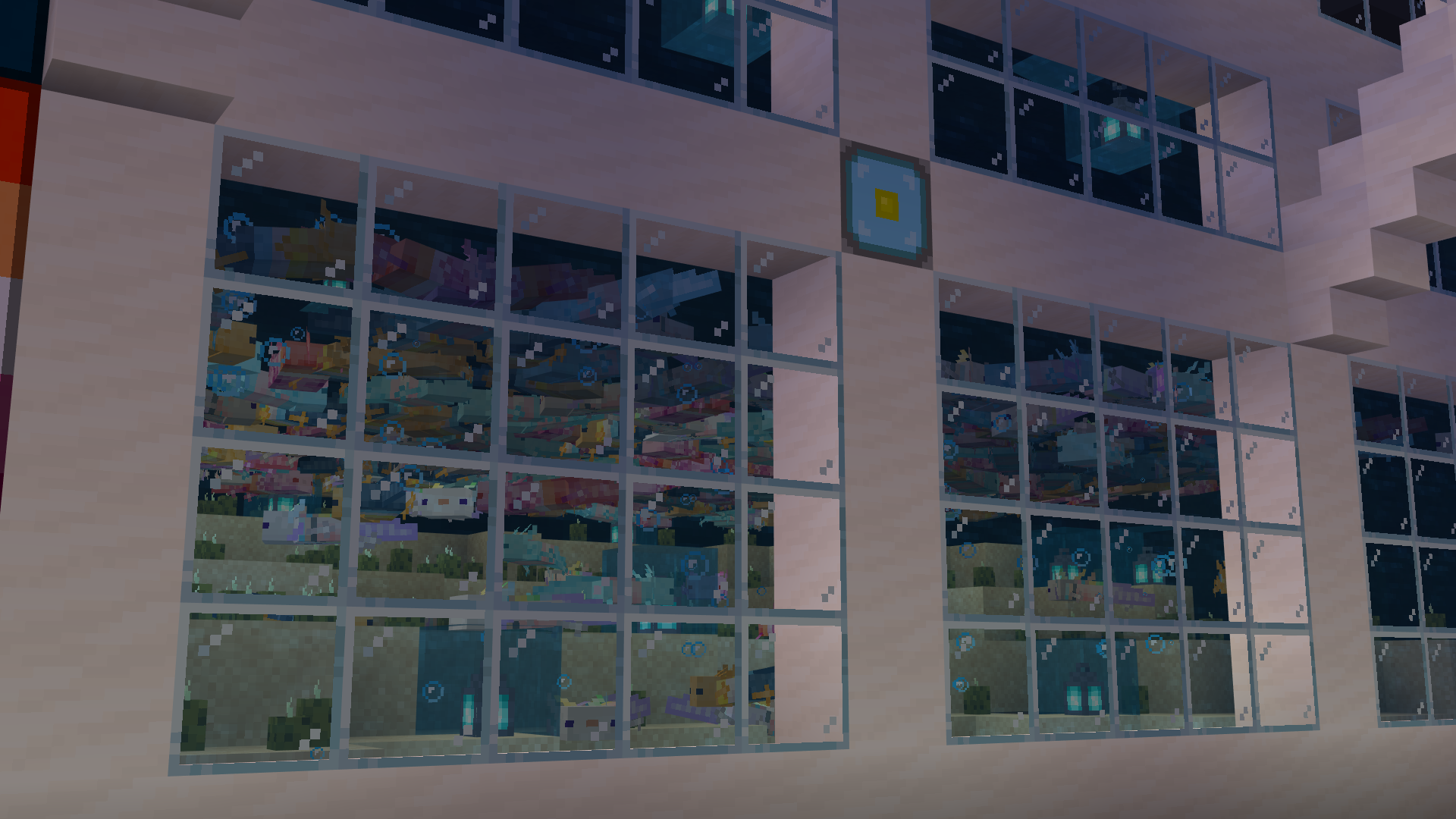 An aquarium full of axolotls with PridePack textures