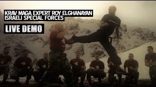 Krav Maga Expert Roy Elghanayan