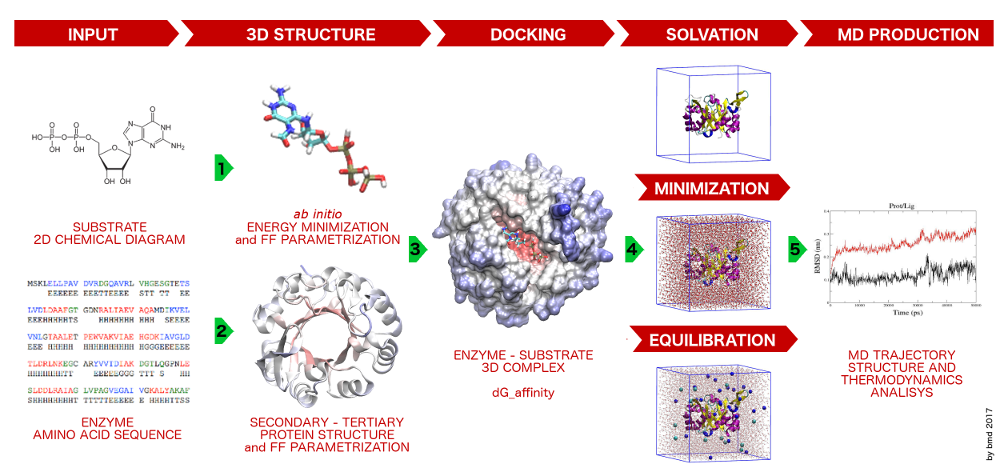 Molecular Modeling Protocol