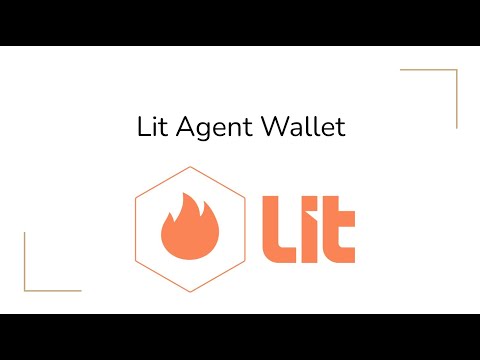 Lit Agent Wallet