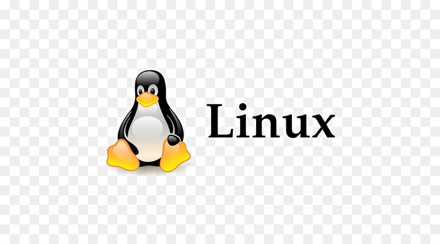 Linux Environment