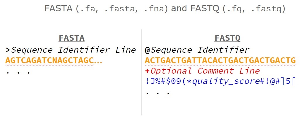 FASTA & FASTQ file format specification