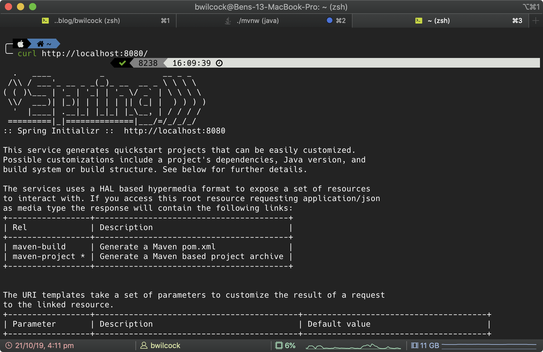 Sample terminal output from the half-built axon-initializr