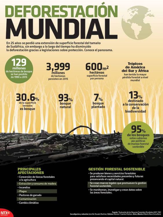 infografía deforestación