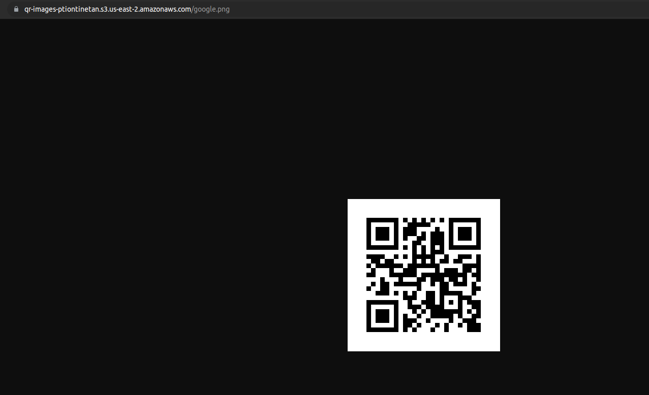 public accessed QR image