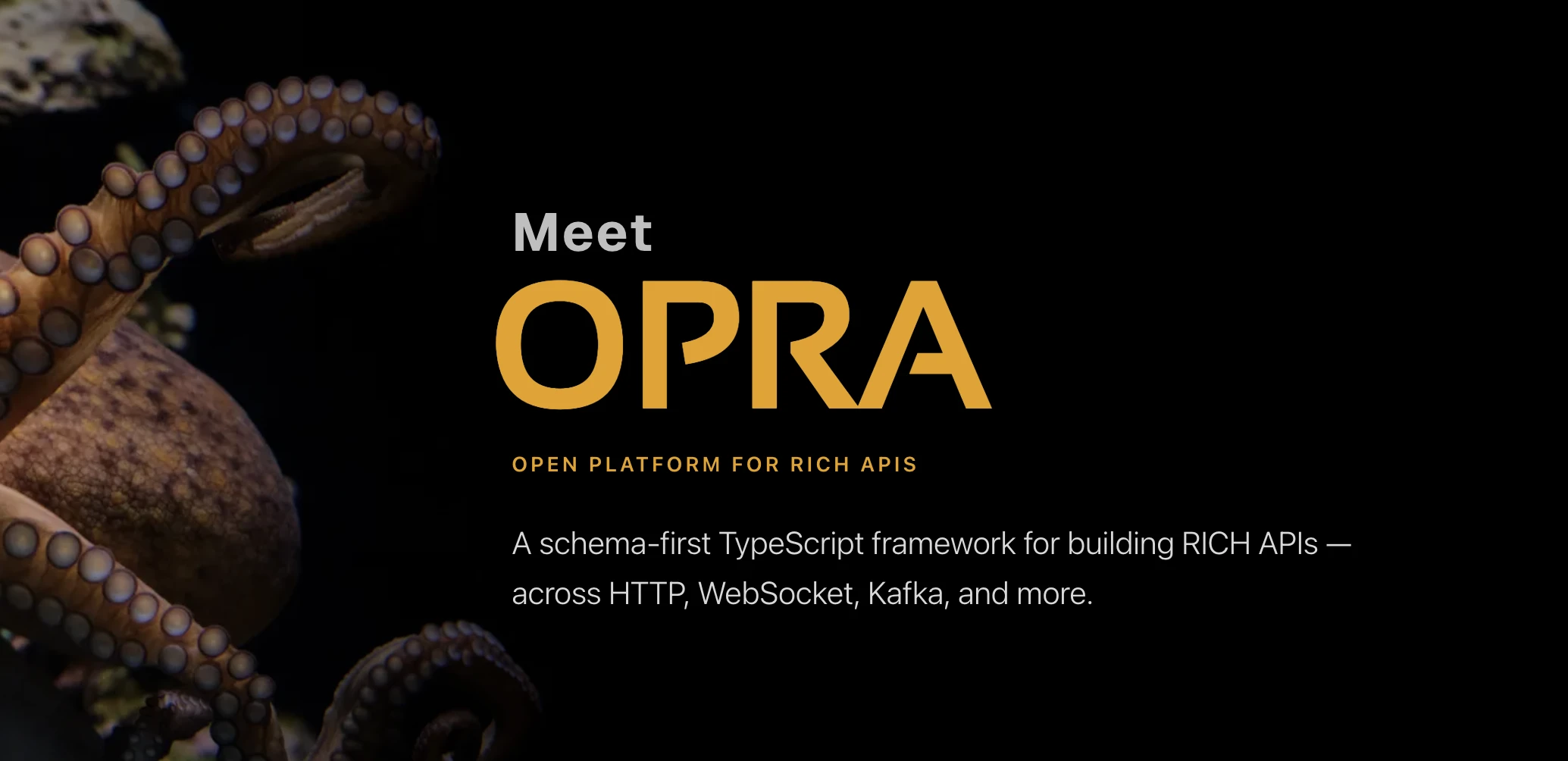 OPRA — Open Platform for Rich APIs