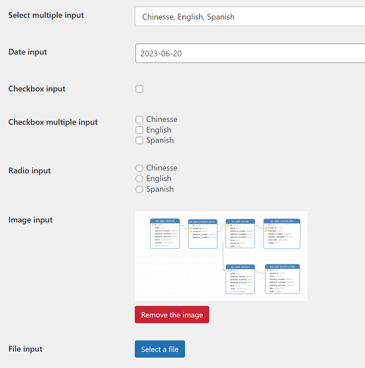 Backend Frontend Template Pro: example of inputs types