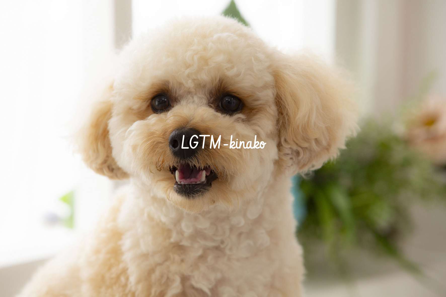 LGTM Image