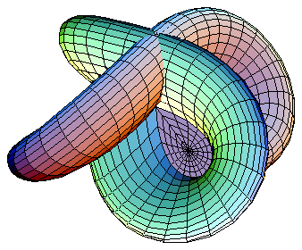 image of a manifold from wikipedia