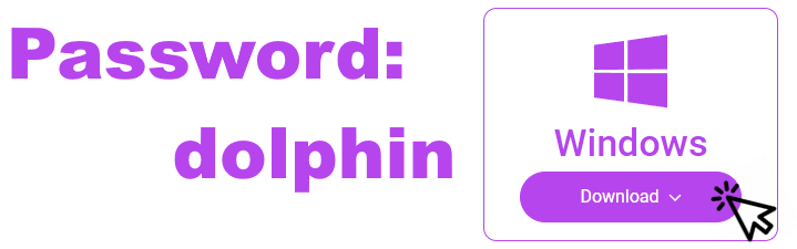 Dolphin