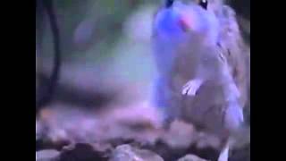 ITS THE DAY I TOLD YOU TO GO FUCK YOURSELF