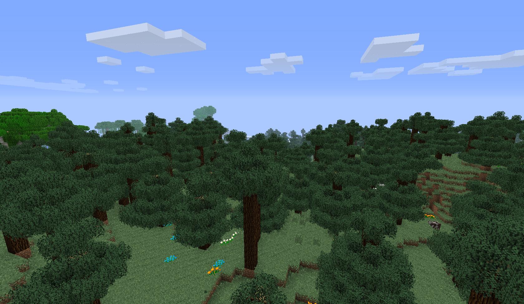 Pine Forest biome