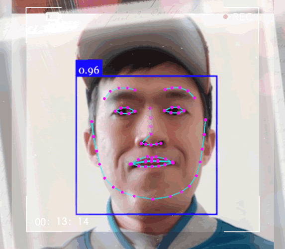 faceapi