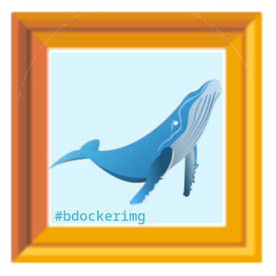 bdockerimage logo