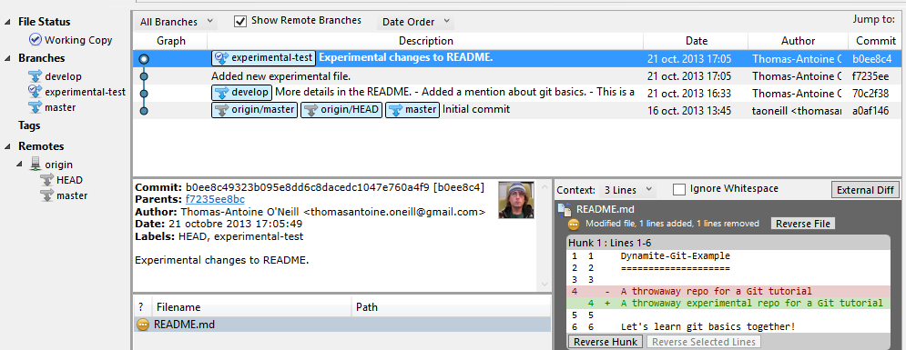 srctree-branch-4