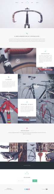 Bicycle website