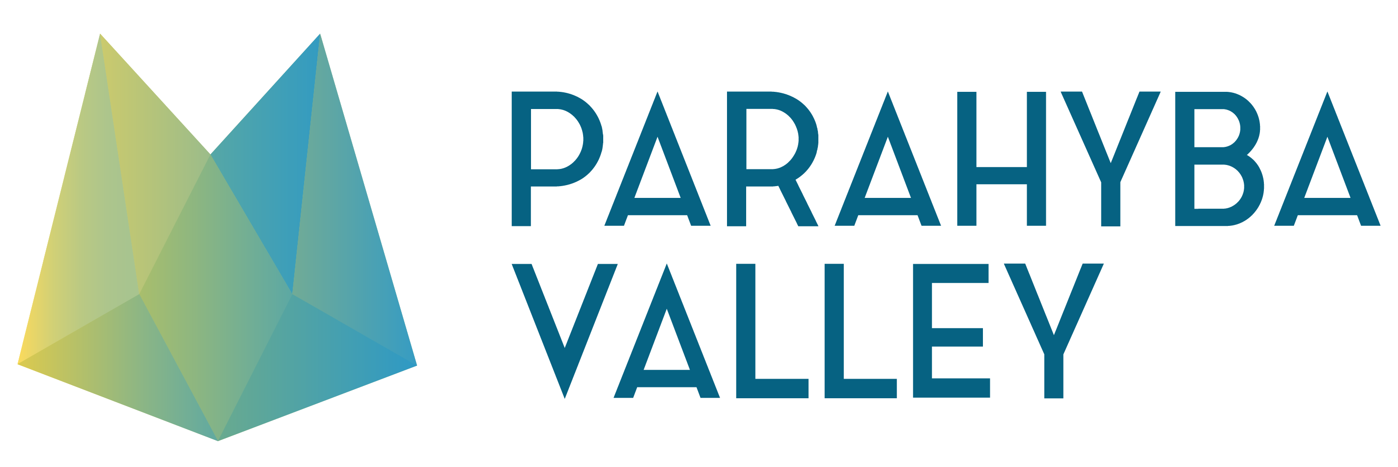 Parahyba Valley logo