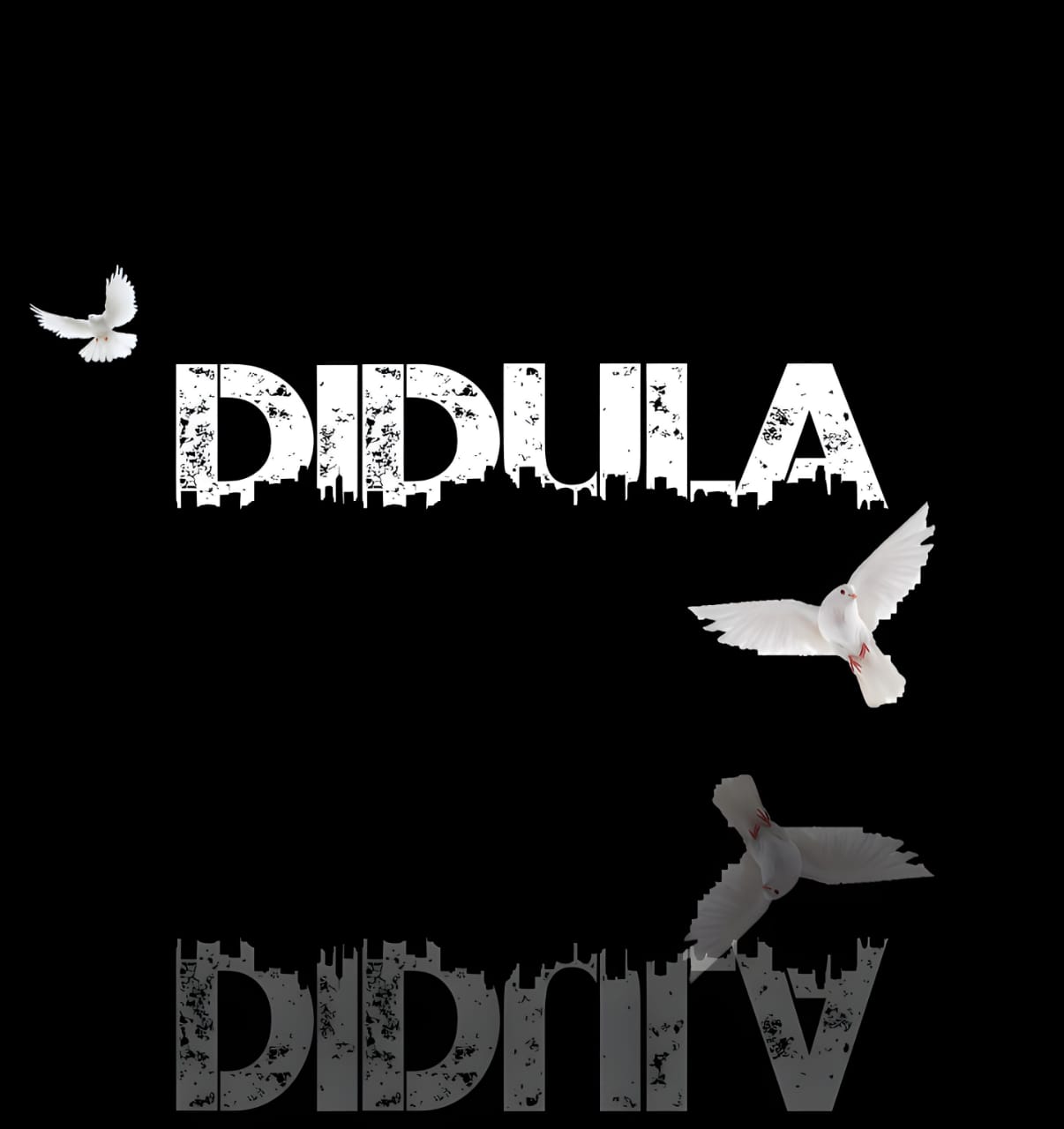 Didula-Md