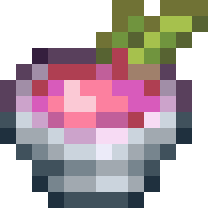 Dragon Fruit Brew
