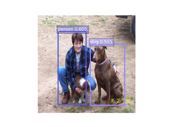 dog_person.png