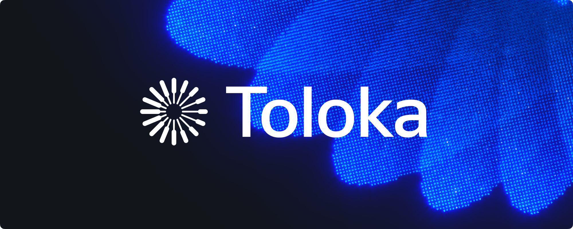 Toloka · GitHub