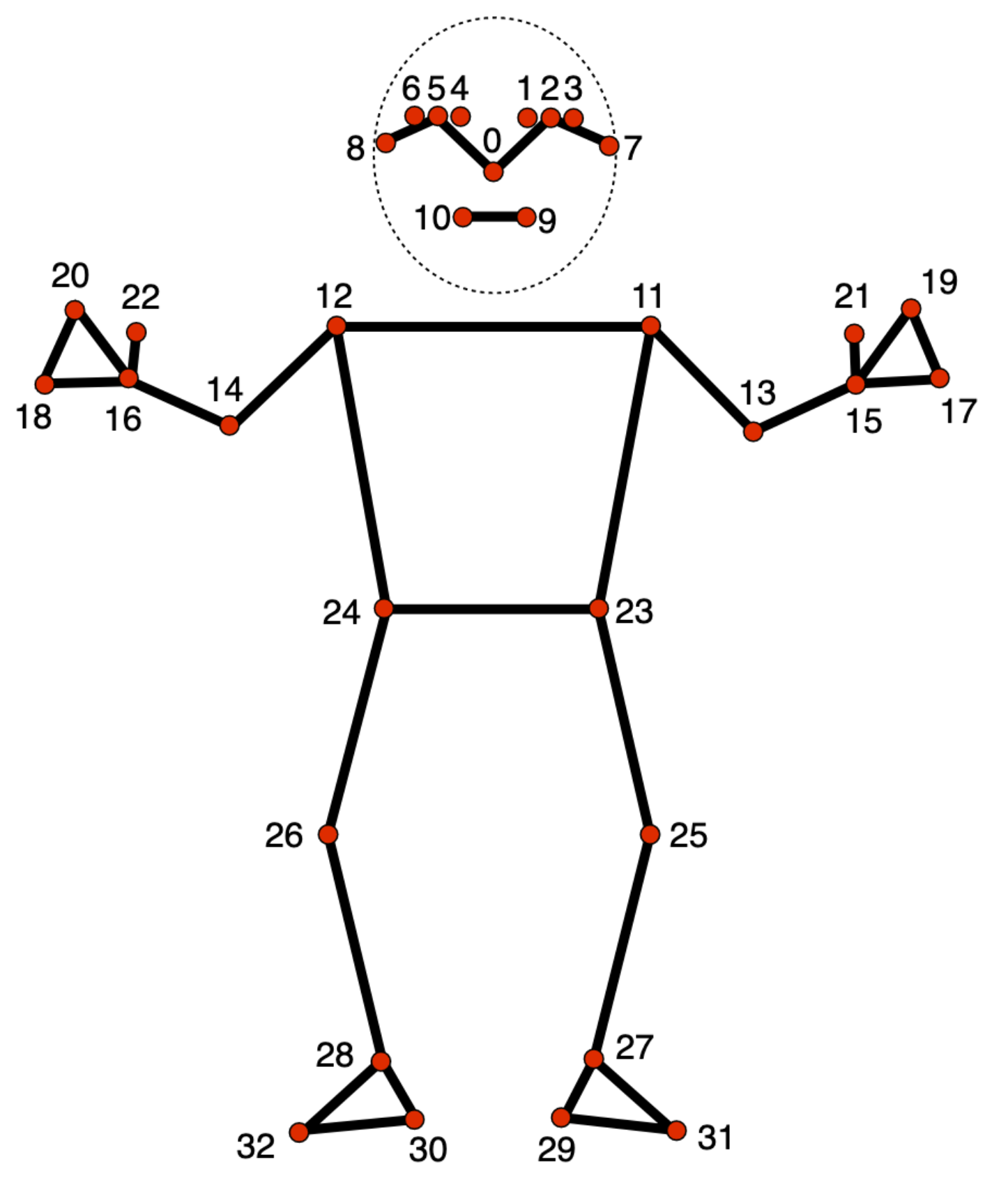 MediaPipe Pose skeleton.