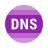 DNS Spoofing