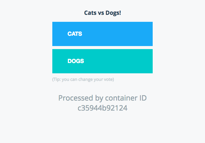 Cats vs Dogs!