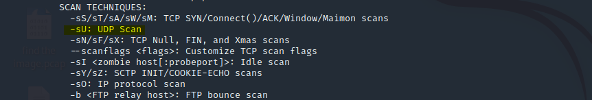 udp scan flag