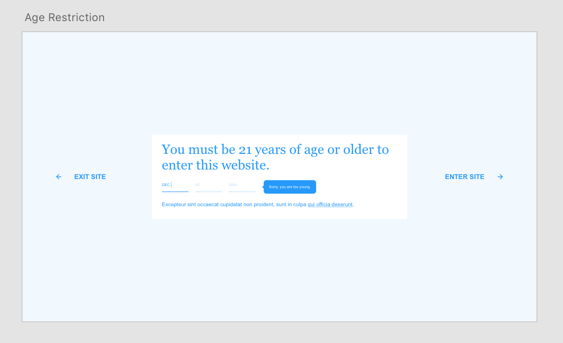 Age Gate Wireframe