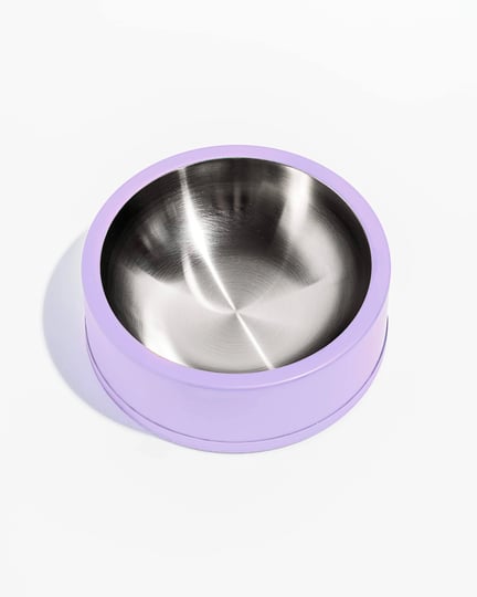 wild-one-stainless-steel-dog-bowl-in-lilac-at-urban-outfitters-1