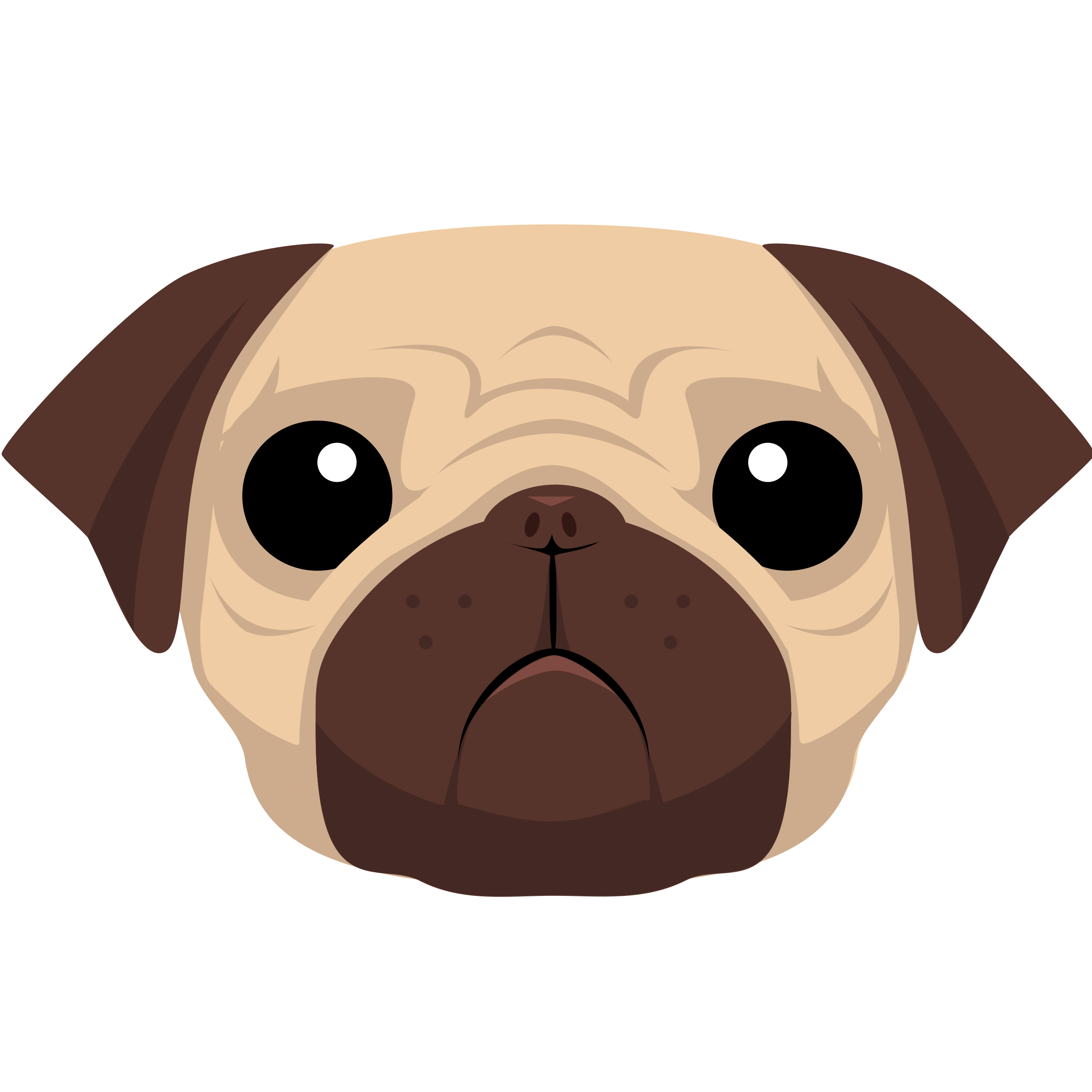 pug