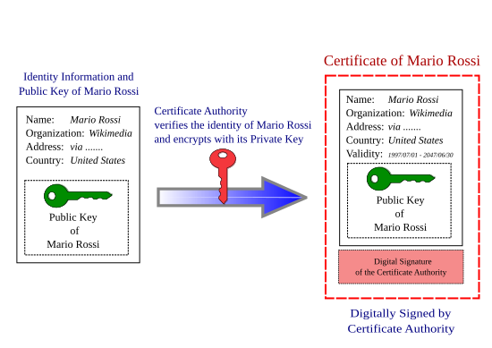 Digital Certification Process