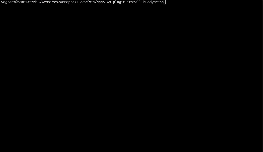 WP-CLI Success Message Bug