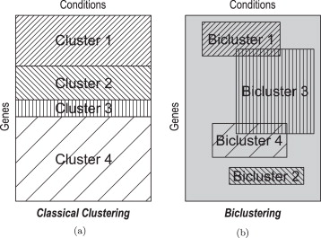 A comparison of clustering and biclustering