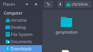 Terminal Genymotion