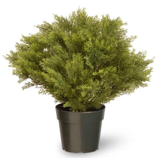 28-globe-juniper-tree-by-national-tree-company-in-green-michaels-1