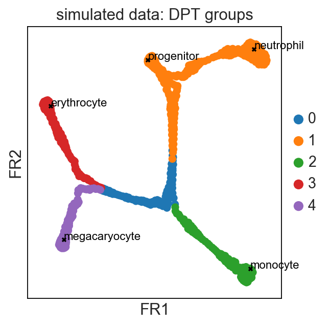 http://falexwolf.de/img/scanpy_usage/170430_krumsiek11/draw_graph.png