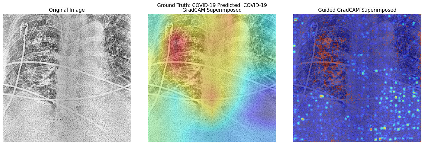 Activation Map Visualisation