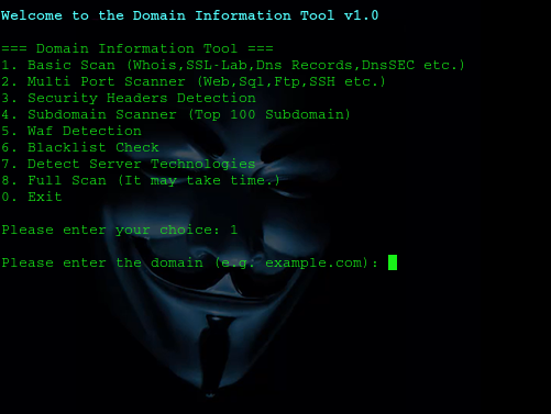 GitHub - irfankocak/Domain-Information-Tool