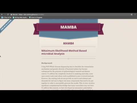 MAMBA