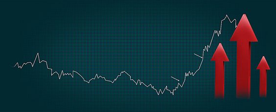 Stock Profiles